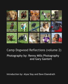 Camp Dogwood Reflections (volume 2) book cover