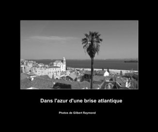 Dans l'azur d'une brise atlantique book cover