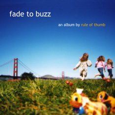 fade to buzz book cover