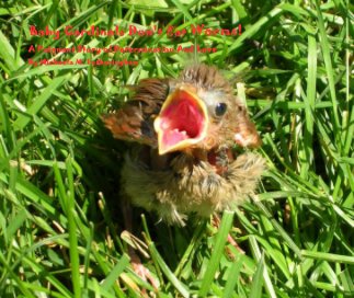 Baby Cardinals Don't Eat Worms! book cover