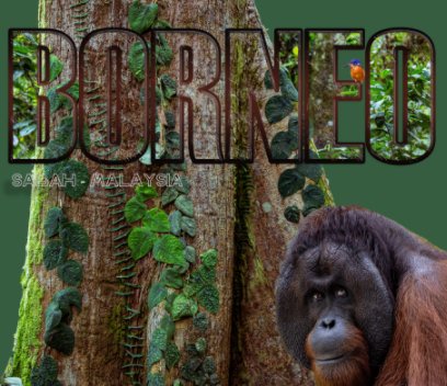 Borneo book cover