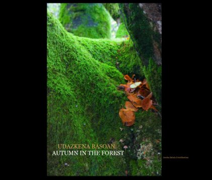 UDdazkena basoan Autumn in the forest Joseba Zabala Urrutikoetxea book cover