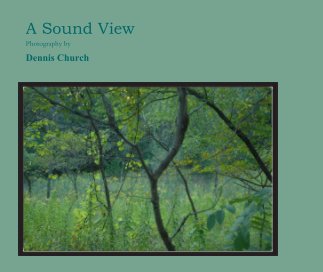 A Sound View book cover