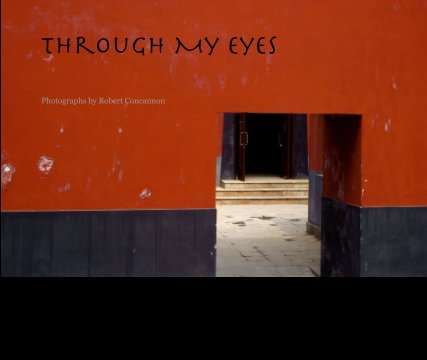 Through My Eyes book cover