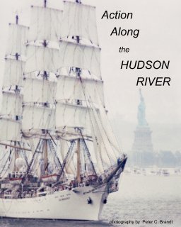 Action Along the Hudson River book cover