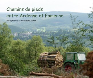 Chemins de pieds entre Ardenne et Famenne book cover