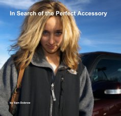 In Search of the Perfect Accessory book cover