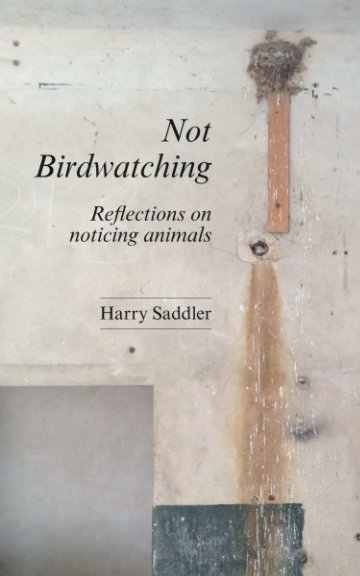 View Not Birdwatching by Harry Saddler