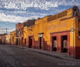 San Miguel de Allende book cover