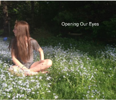 Opening Our Eyes book cover