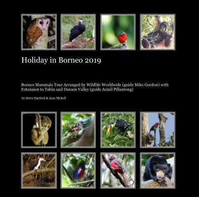 Holiday in Borneo 2019 book cover