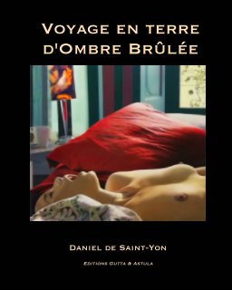 voyage avec Spinoza en terre d'Ombre Brûlée book cover