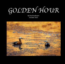 Golden Hour book cover