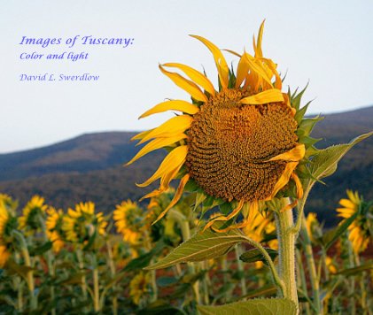 Images of Tuscany: Color and Light book cover