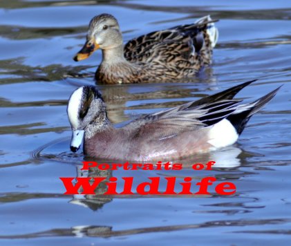 Portraits of Wildlife book cover