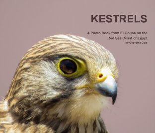 Kestrels book cover