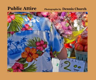 Public Attire book cover