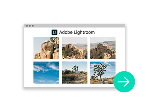 Lightroom CC Photos for Book Layouts